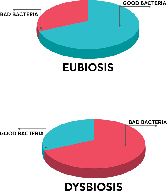 EUBIOSIS/DYSBIOSIS