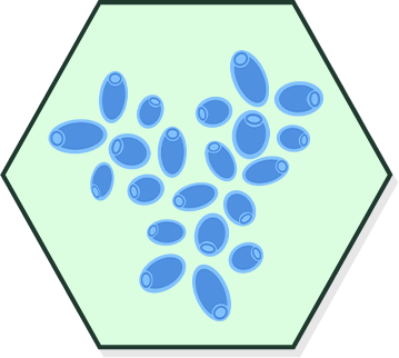 Yeasts